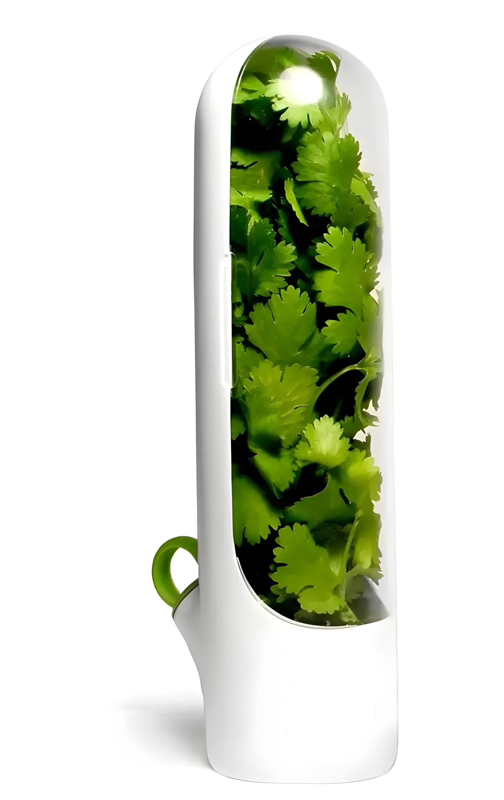 GreenGuard Herb Storage Box